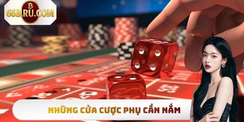 Những cửa cược phụ cần nắm