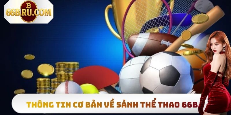 Một số thông tin tổng quan cần biết về thể thao 66B